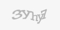 Защитный код